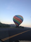 Right on the side of the road at 6am on my way to the race. So pretty!